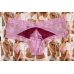 Мереживні трусики Very Sexy Cheeky Panty